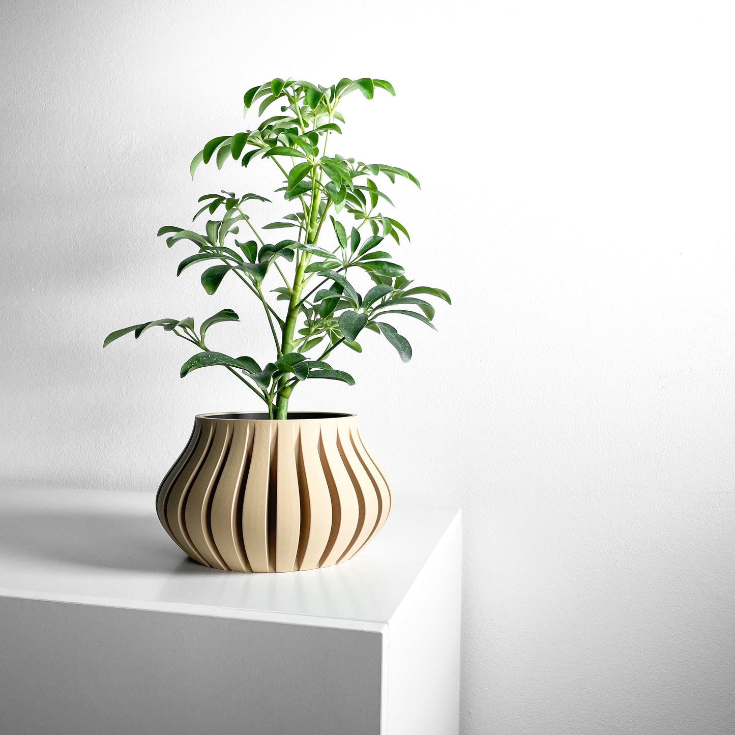 Planter Pot, Sculptural SucculentHolder, Indoor Desktop Organizer, TexturedMatte Accent