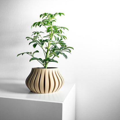 Planter Pot, Sculptural SucculentHolder, Indoor Desktop Organizer, TexturedMatte Accent