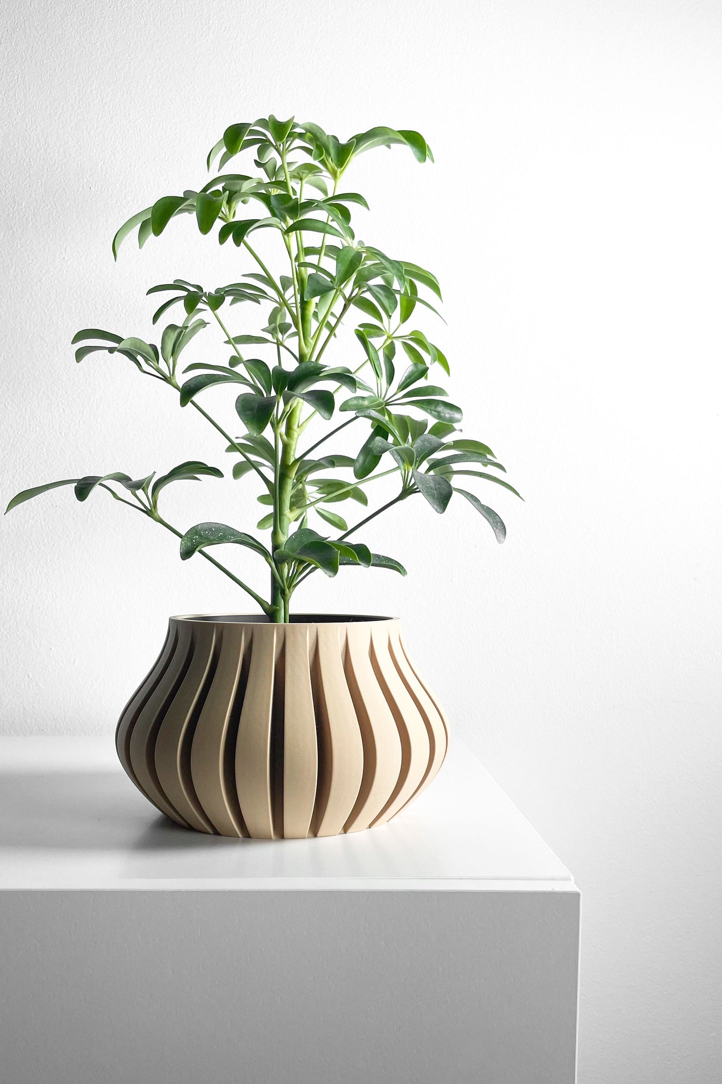 Planter Pot, Sculptural SucculentHolder, Indoor Desktop Organizer, TexturedMatte Accent