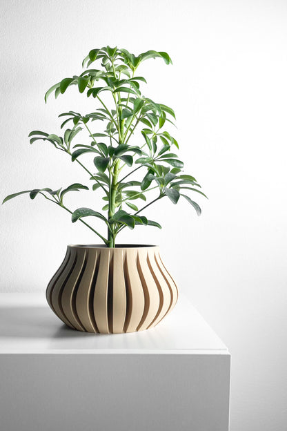 Planter Pot, Sculptural SucculentHolder, Indoor Desktop Organizer, TexturedMatte Accent