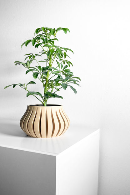 Planter Pot, Sculptural SucculentHolder, Indoor Desktop Organizer, TexturedMatte Accent