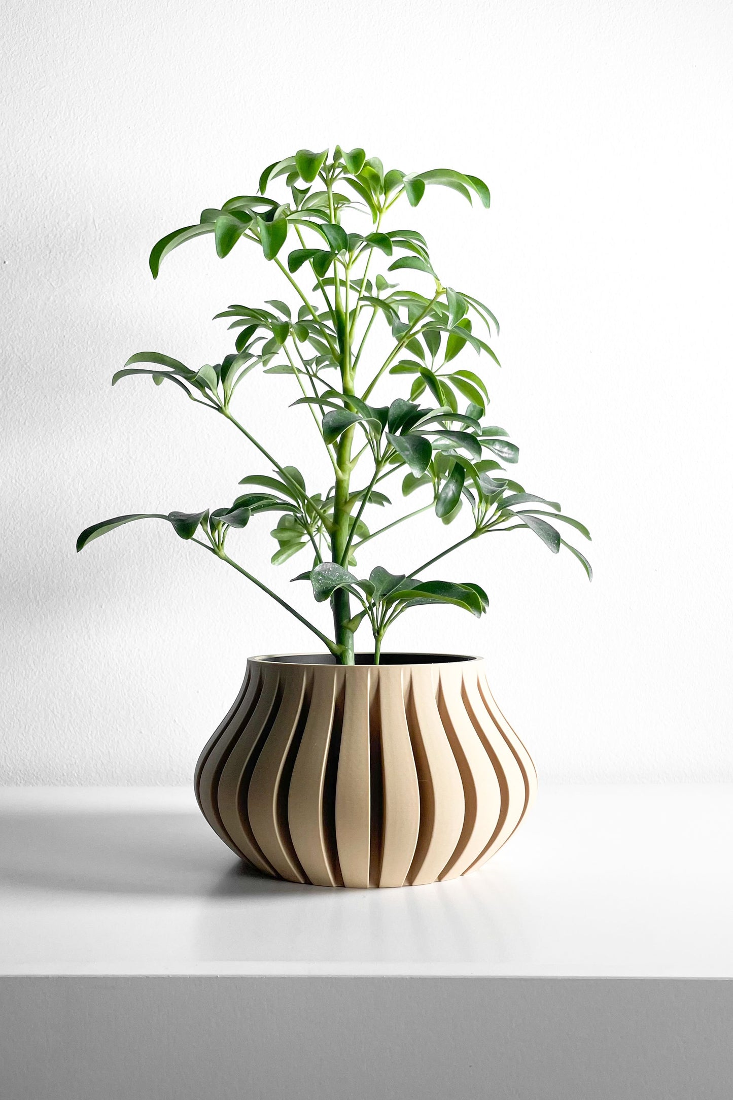 Planter Pot, Sculptural SucculentHolder, Indoor Desktop Organizer, TexturedMatte Accent