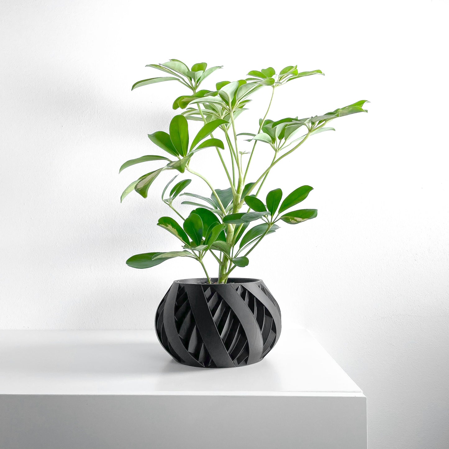 Planter Pot, Sculptural Succulent Holder, Desk Organizer, Nordic Accent, Modern Mood