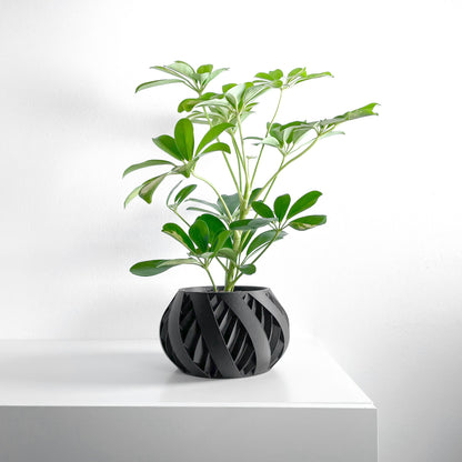 Planter Pot, Sculptural Succulent Holder, Desk Organizer, Nordic Accent, Modern Mood