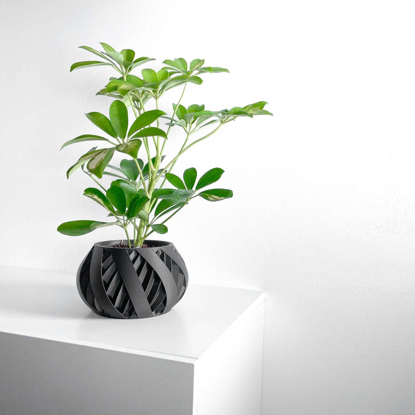 Planter Pot, Sculptural Succulent Holder, Desk Organizer, Nordic Accent, Modern Mood