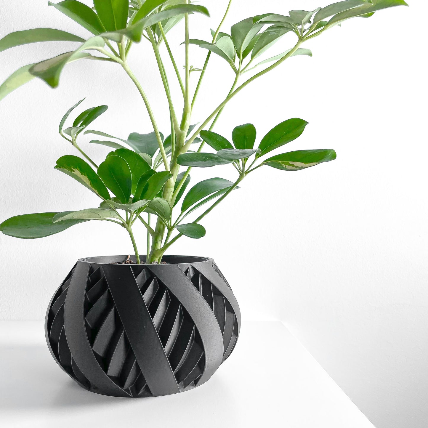 Planter Pot, Sculptural Succulent Holder, Desk Organizer, Nordic Accent, Modern Mood