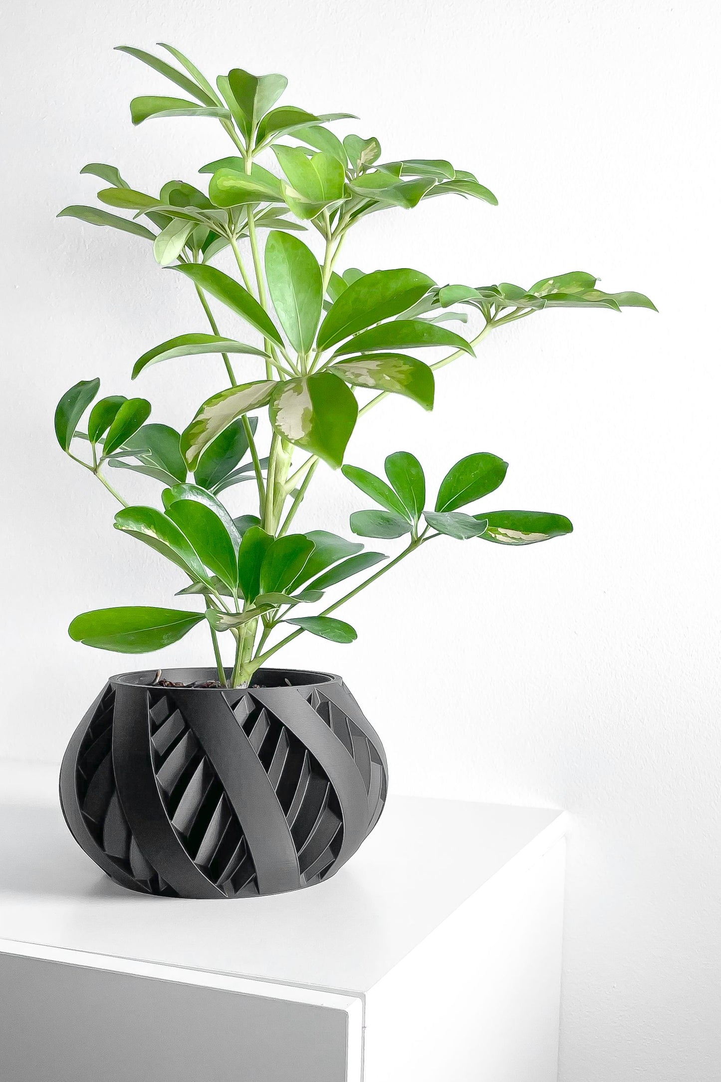 Planter Pot, Sculptural Succulent Holder, Desk Organizer, Nordic Accent, Modern Mood