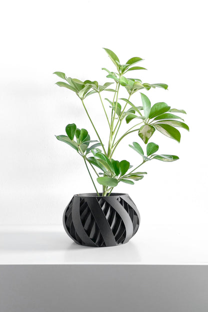 Planter Pot, Sculptural Succulent Holder, Desk Organizer, Nordic Accent, Modern Mood