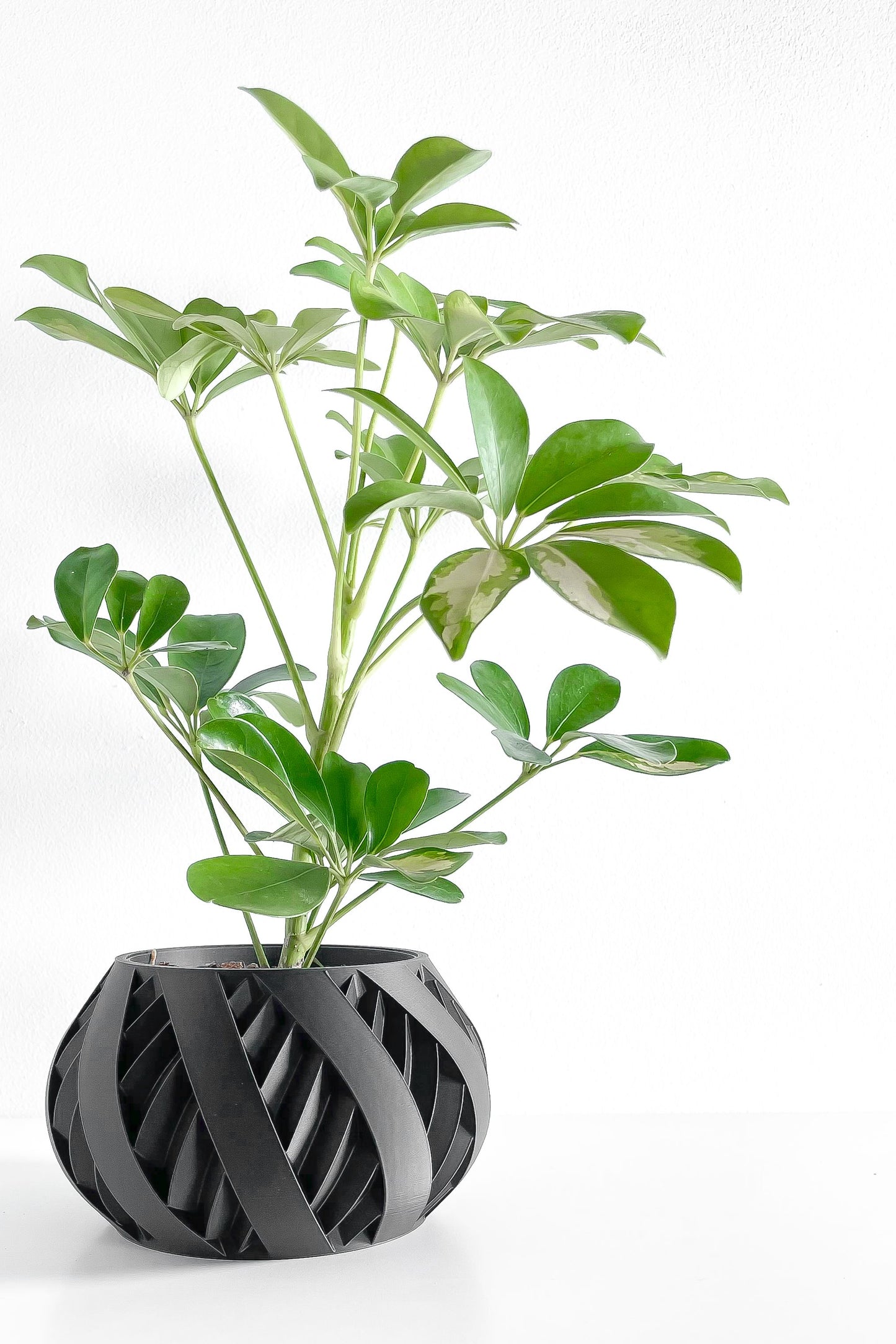 Planter Pot, Sculptural Succulent Holder, Desk Organizer, Nordic Accent, Modern Mood