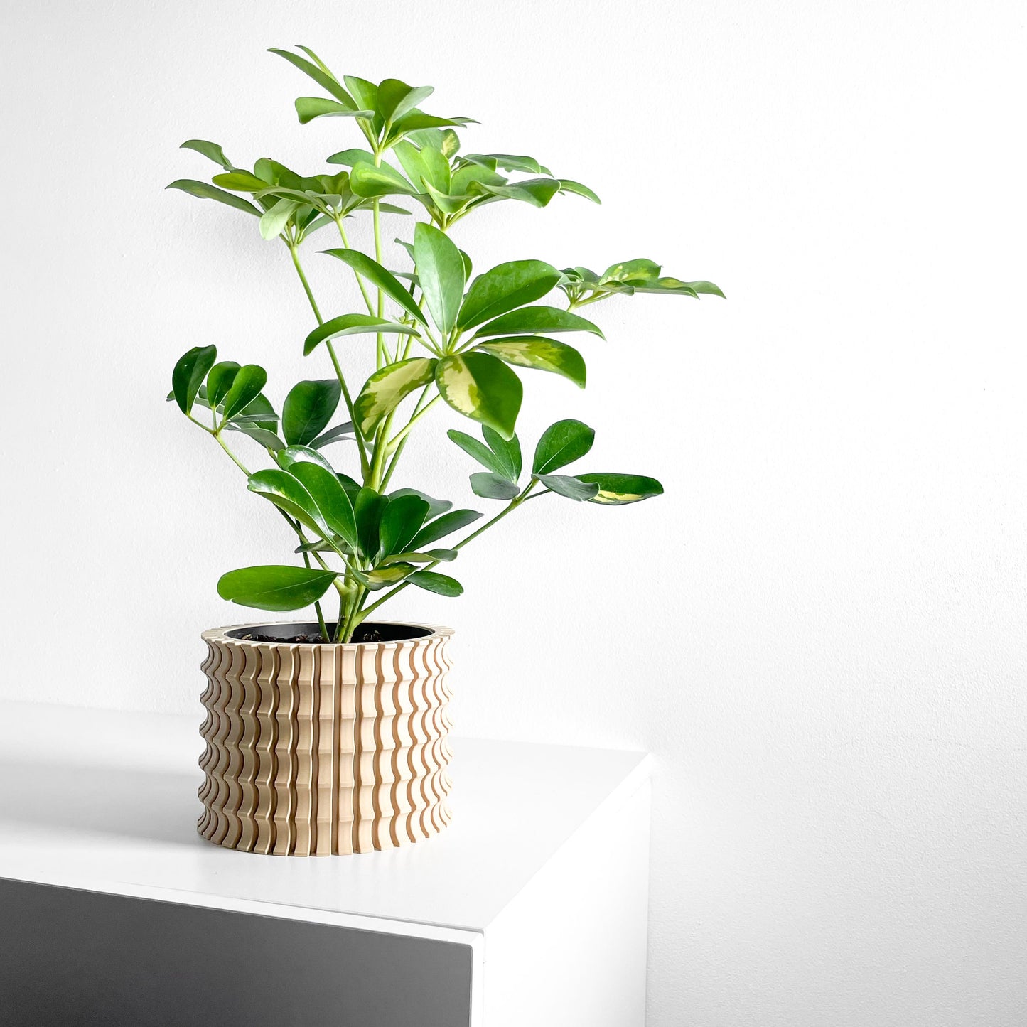 Planter Pot, Sculptural Indoor Planter, Succulent Container, Simple Workspace Living Minimalist Desk Flower Organizer