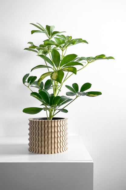 Planter Pot, Sculptural Indoor Planter, Succulent Container, Simple Workspace Living Minimalist Desk Flower Organizer