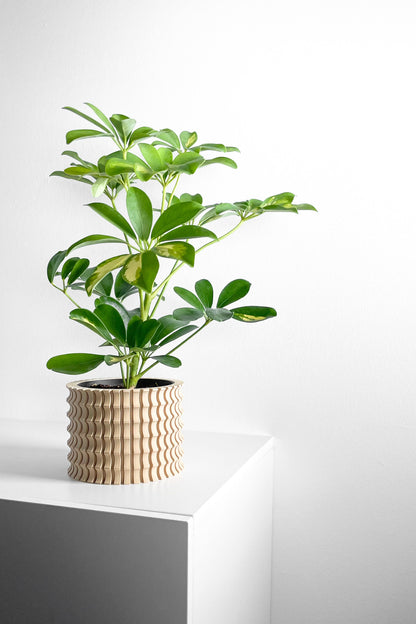 Planter Pot, Sculptural Indoor Planter, Succulent Container, Simple Workspace Living Minimalist Desk Flower Organizer