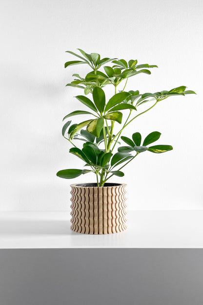 Planter Pot, Sculptural Indoor Planter, Succulent Container, Simple Workspace Living Minimalist Desk Flower Organizer