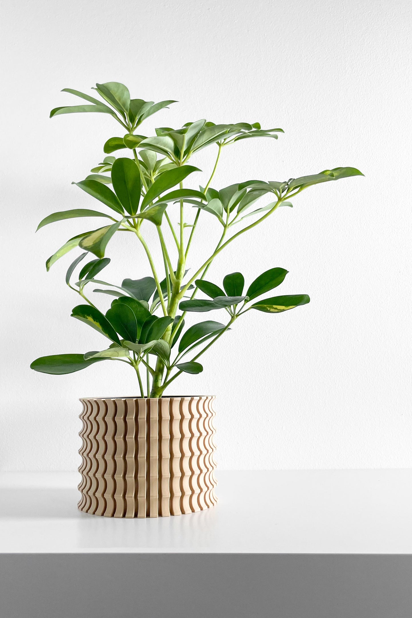 Planter Pot, Sculptural Indoor Planter, Succulent Container, Simple Workspace Living Minimalist Desk Flower Organizer