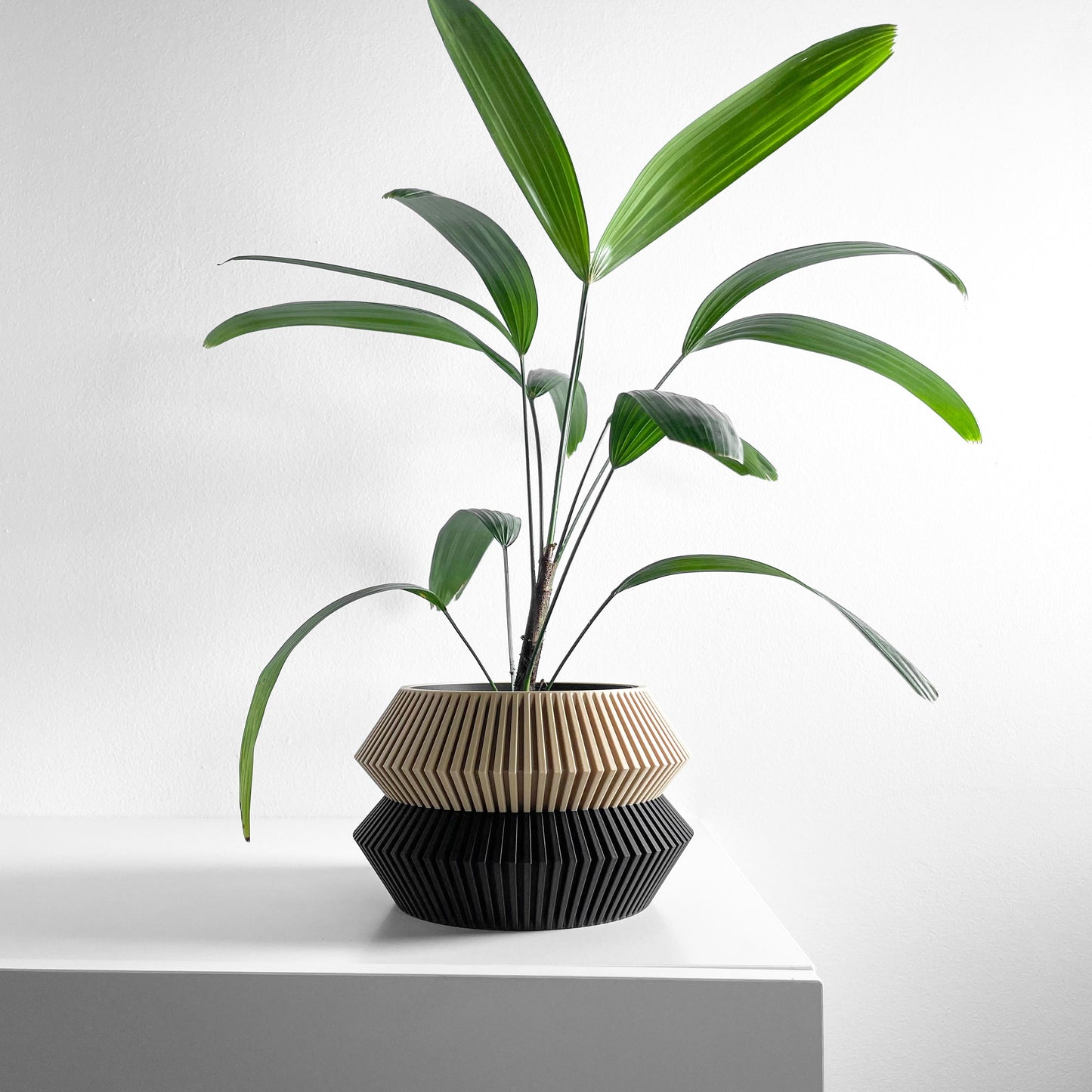 Geometric Artistic Planter Pot, Sculptural Succulent Vessel, Stylish Herb Container, Original Desk Accent, Nordic