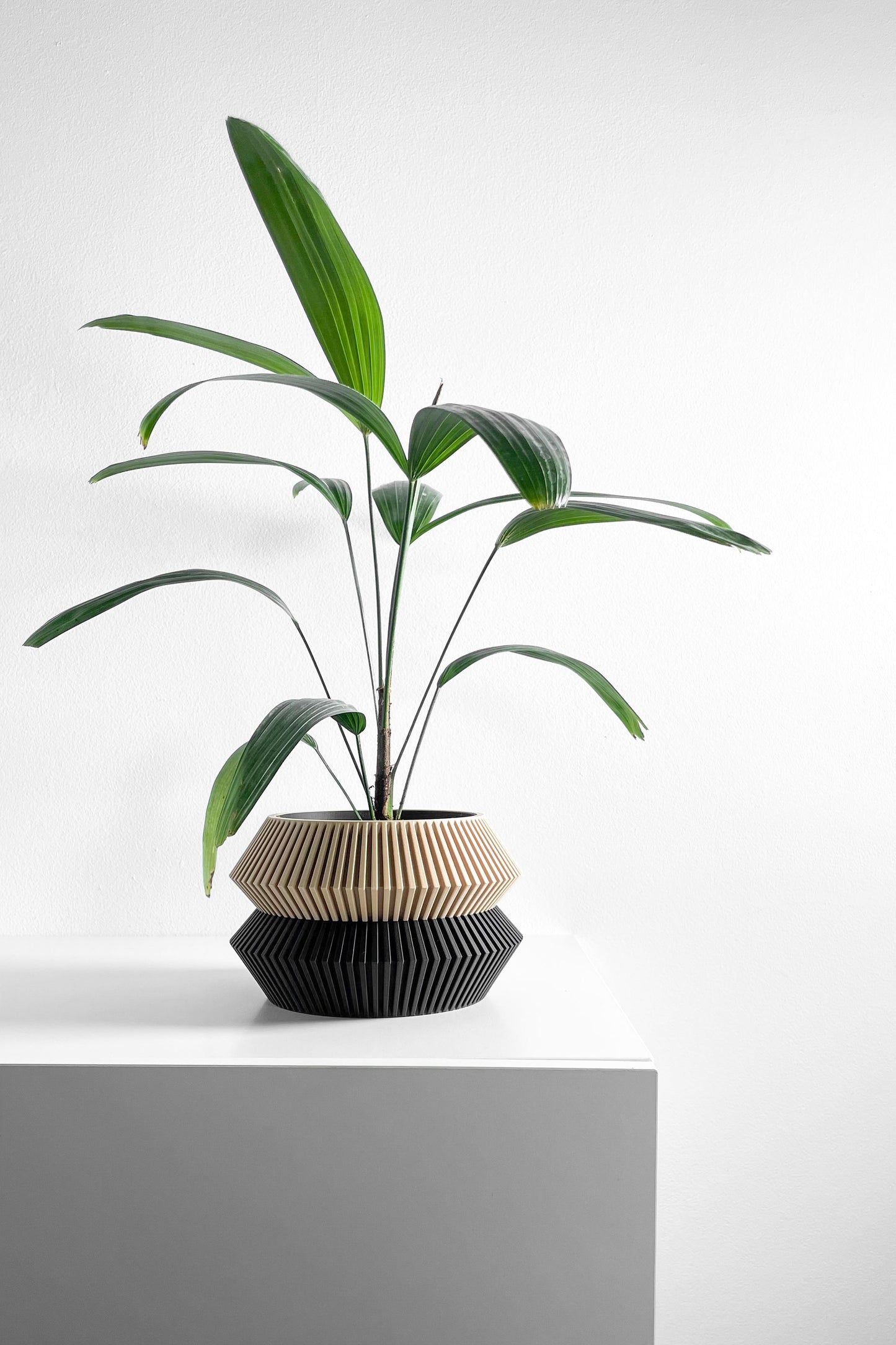 Geometric Artistic Planter Pot, Sculptural Succulent Vessel, Stylish Herb Container, Original Desk Accent, Nordic