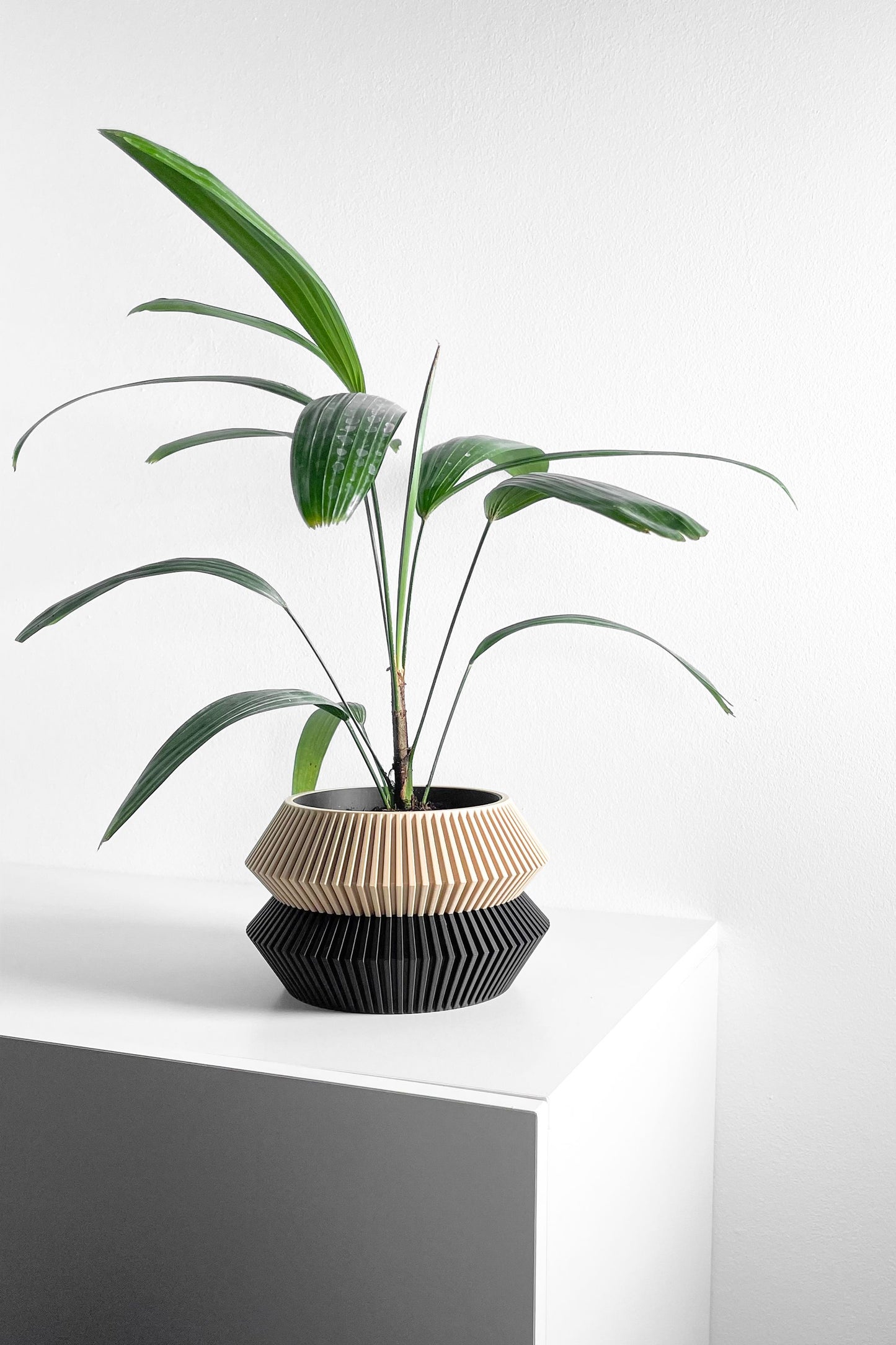 Geometric Artistic Planter Pot, Sculptural Succulent Vessel, Stylish Herb Container, Original Desk Accent, Nordic