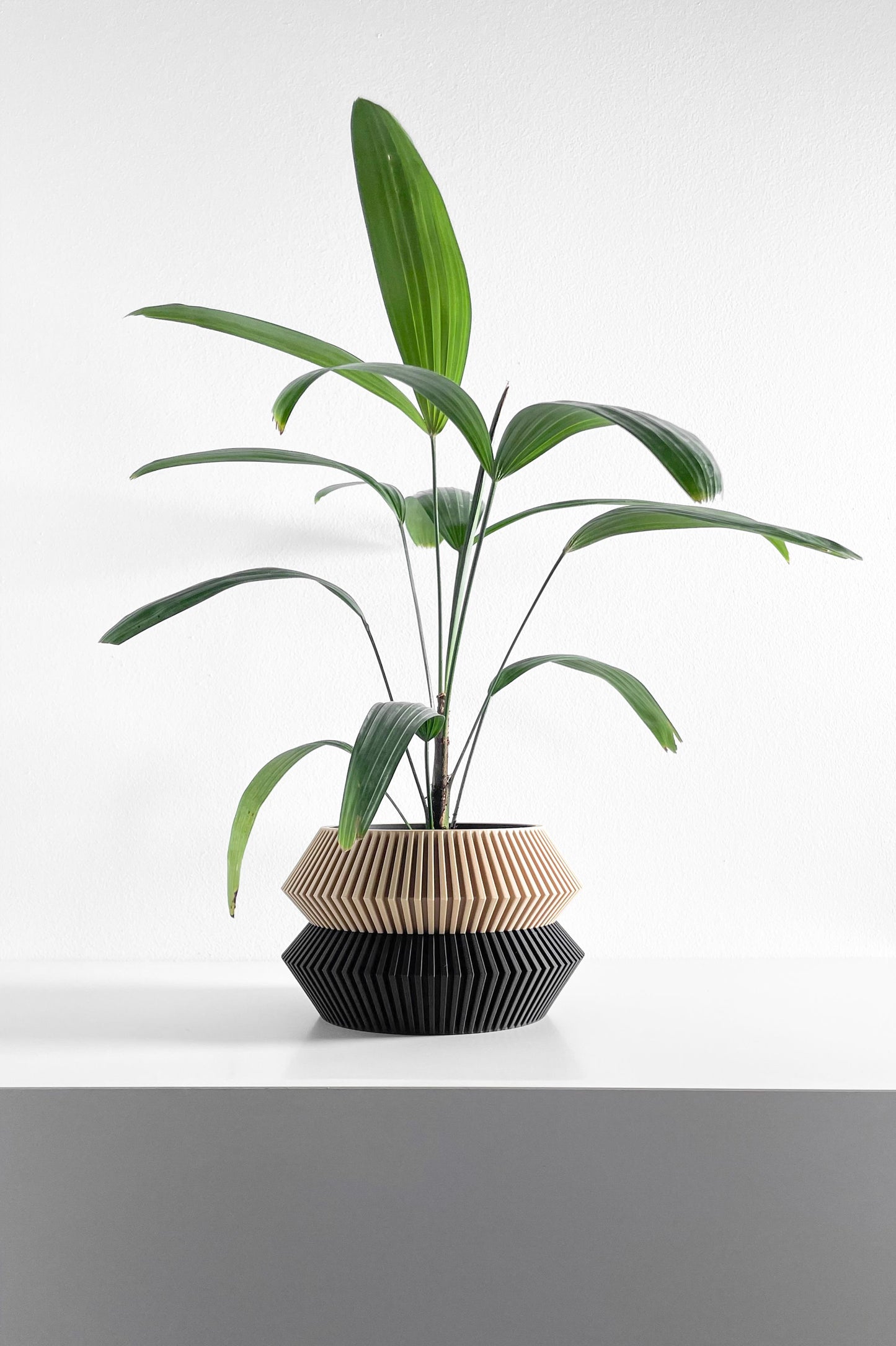 Geometric Artistic Planter Pot, Sculptural Succulent Vessel, Stylish Herb Container, Original Desk Accent, Nordic