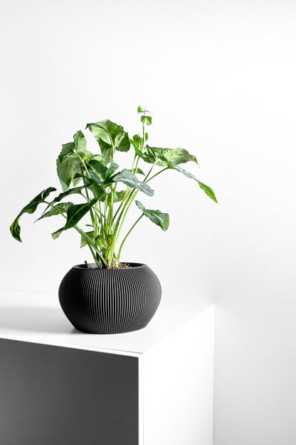planter pot, sculptural indoor container, greenery holder, elegant desktop organizer