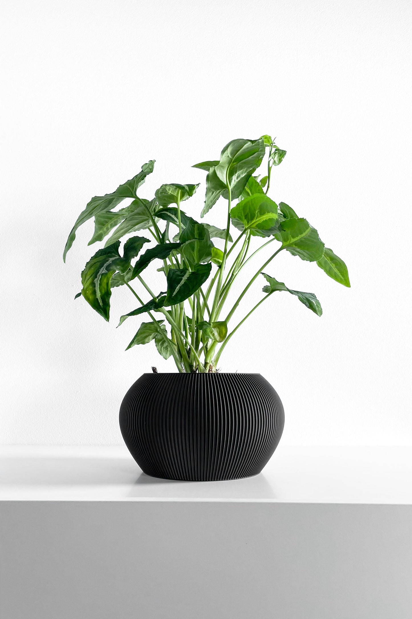 planter pot, sculptural indoor container, greenery holder, elegant desktop organizer