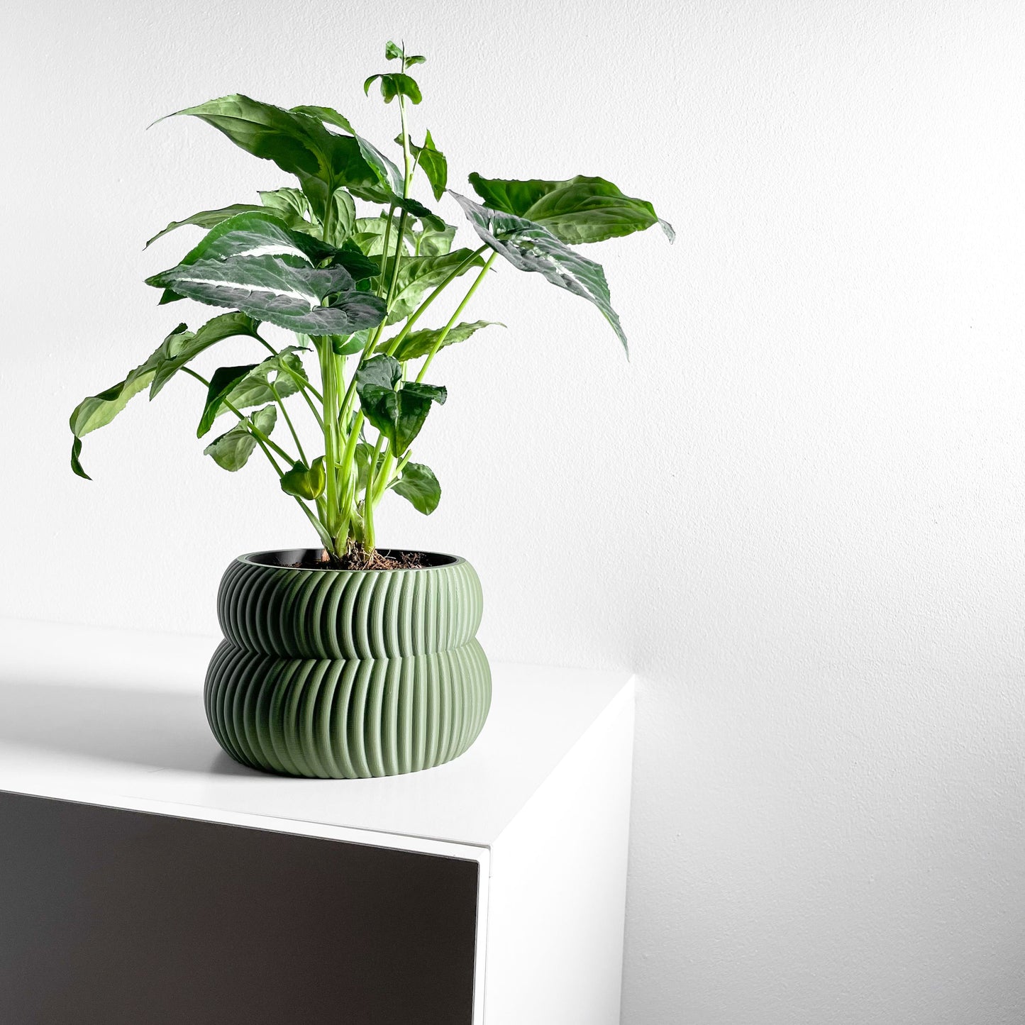 Planter Pot Set, Modern Indoor Succulent Holder, Sculptural Minimalist Organizer