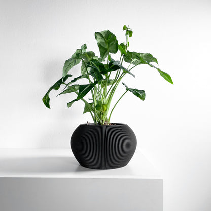 planter pot, sculptural indoor container, greenery holder, elegant desktop organizer