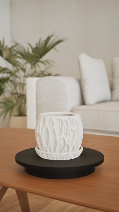 Succulent Planter, Minimalist Indoor Pot, Desktop Organizer, Whimsical Modern Decor