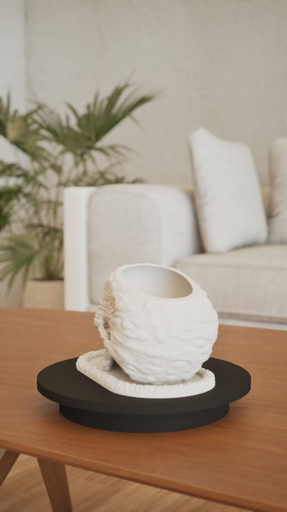 Skull Planter, Gothic Succulent Organizer, Skeleton Halloween Pot, DecorativeSkull StatementPlanter