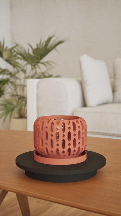 Orchid Pot, Root View, Breathable Windowsill, Contemporary Sculptural Vessel Matte