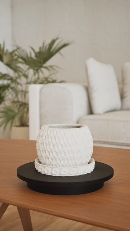 Hexagon Planter, Indoor Succulent Pot, Modern Desk Container, Home Decoration, Minimalist Plant Accent