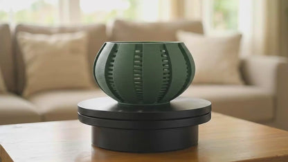 Orchid Planter, Airy Root View Container, Indoor Display, Windowsill Shelf Accent, Dining Table Decor