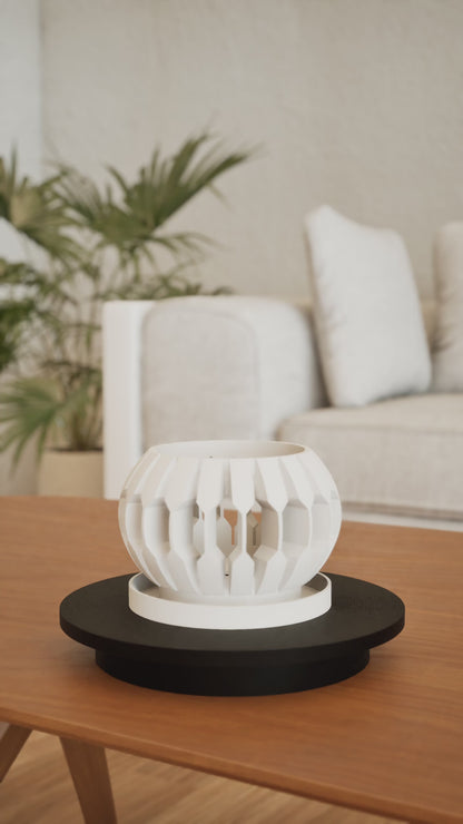 Orchid Pot Root-View Planter, Windowsill and Hanging Display, Growing, Repotting or Seedling