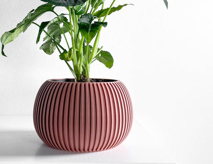 planter pot, midcentury minimalist succulent desktop organizer, indoor herb holder