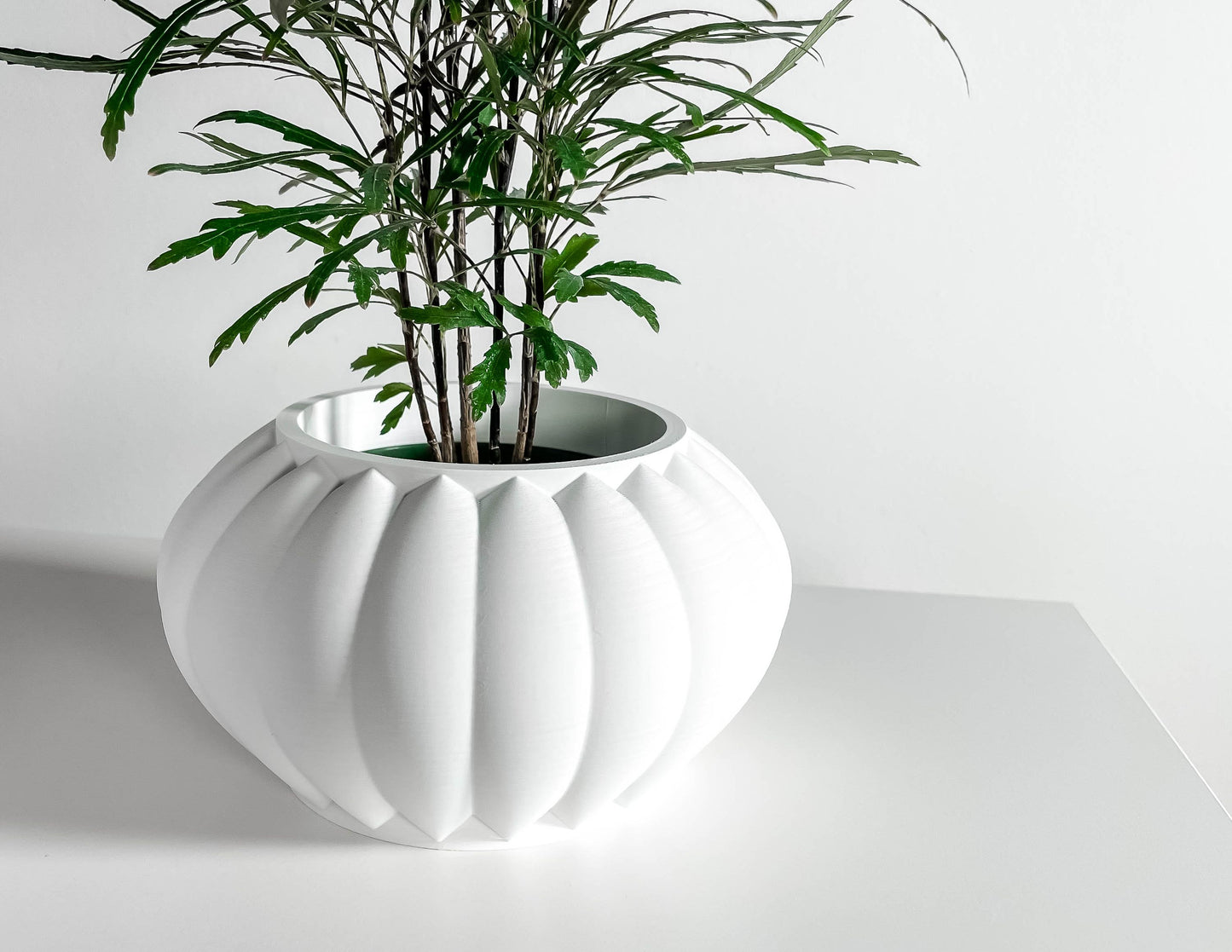 Planter Pot, Indoor Minimalist Modern, Succulent Holder, Desktop Organizer, White