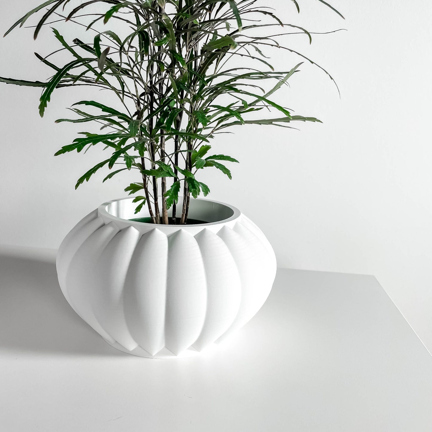 Planter Pot, Indoor Minimalist Modern, Succulent Holder, Desktop Organizer, White