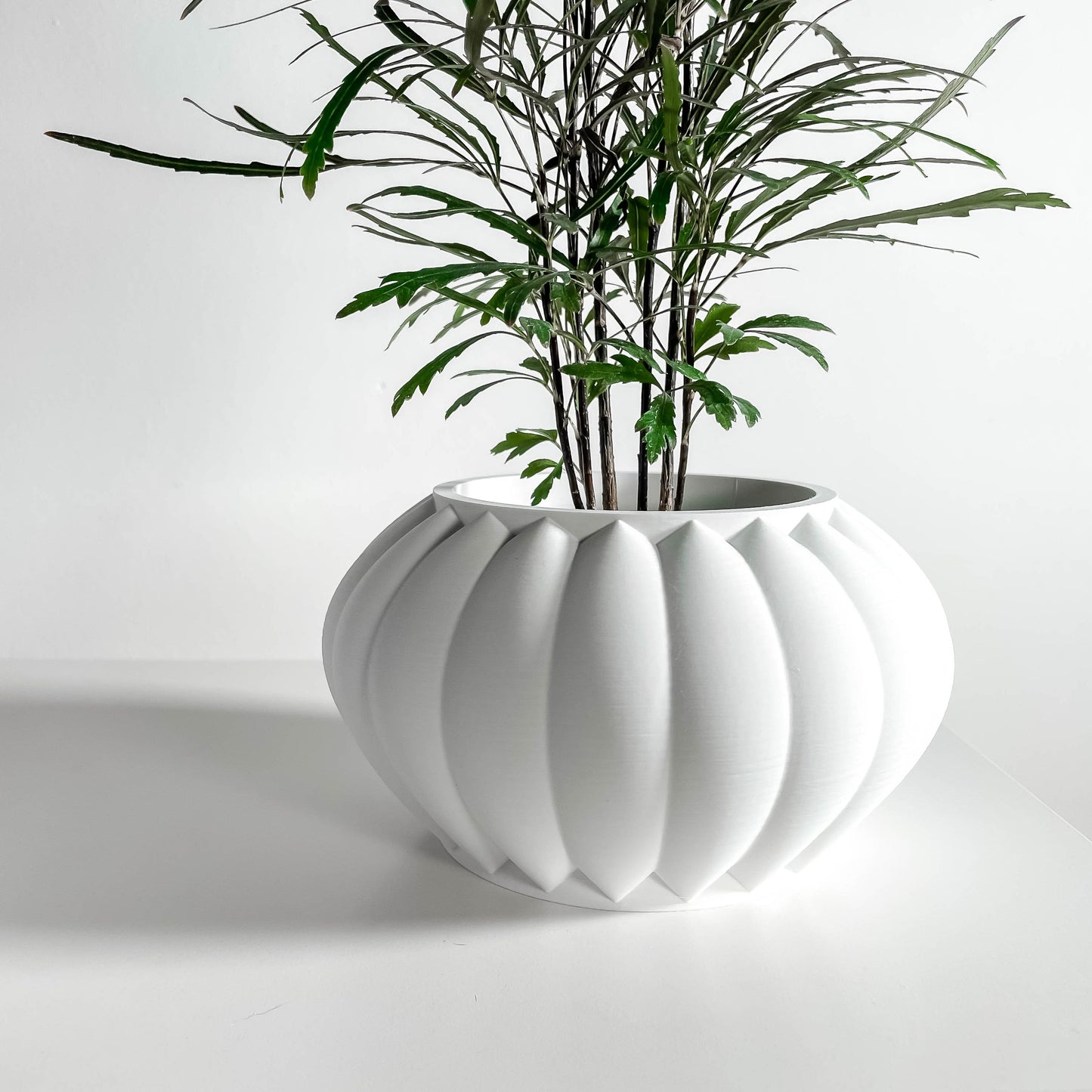 Planter Pot, Indoor Minimalist Modern, Succulent Holder, Desktop Organizer, White