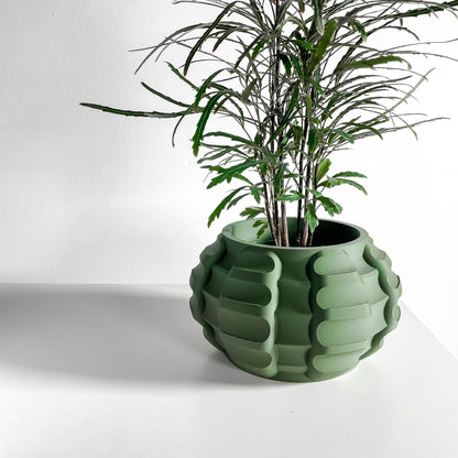 Unique Planter Pot, Indoor Plant Container, Decorative Foliage Bowl, Eco Small Compact Greenery