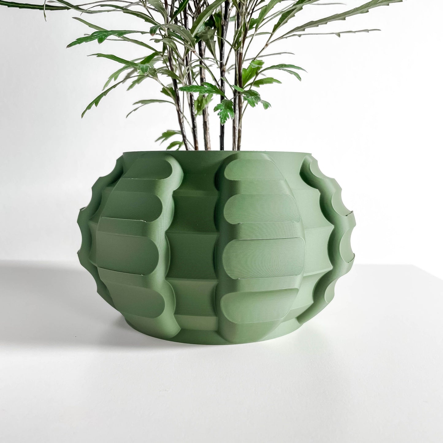 Unique Planter Pot, Indoor Plant Container, Decorative Foliage Bowl, Eco Small Compact Greenery