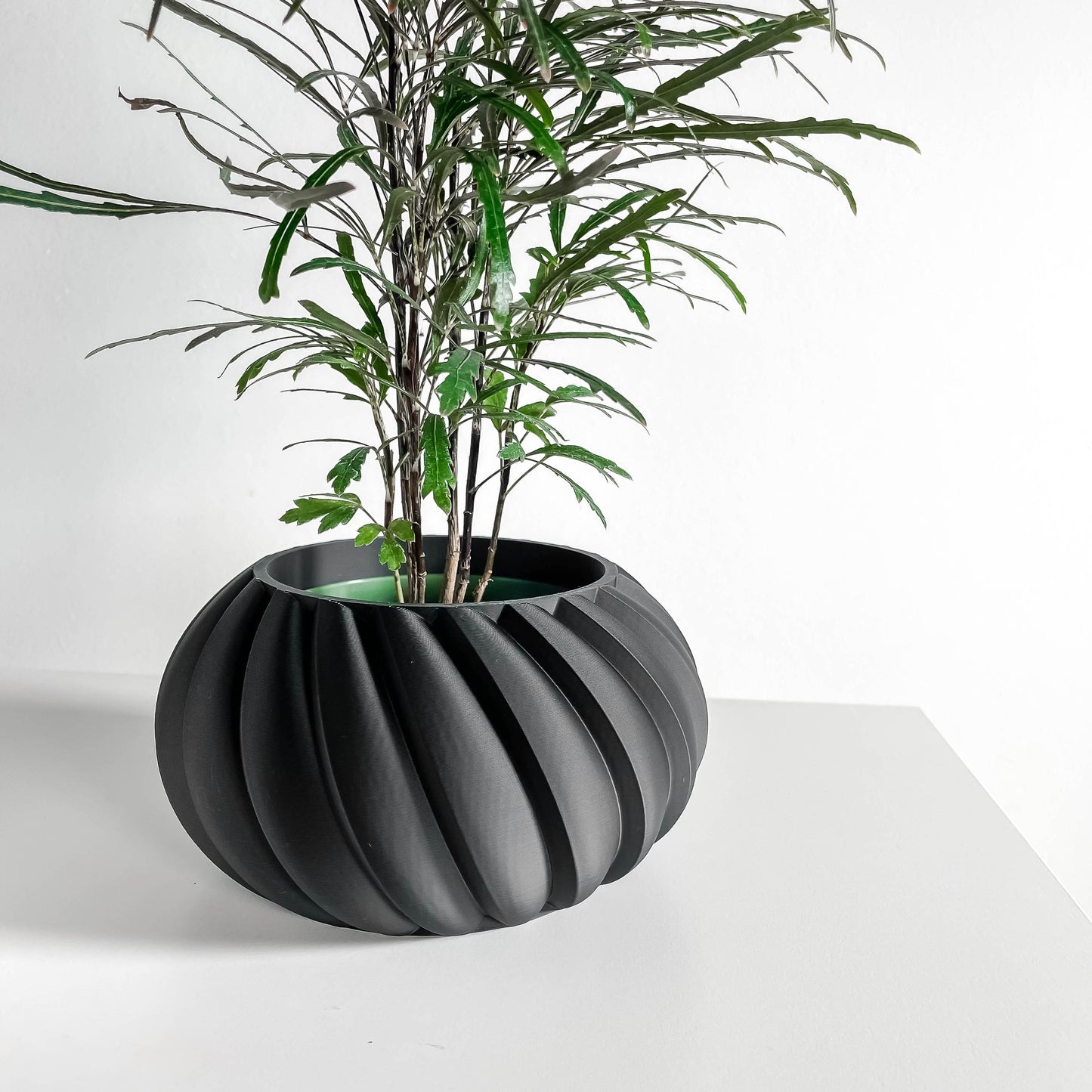 Planter Pot, Contemporary Sculptural Container, Indoor Succulent Holder Black Matte