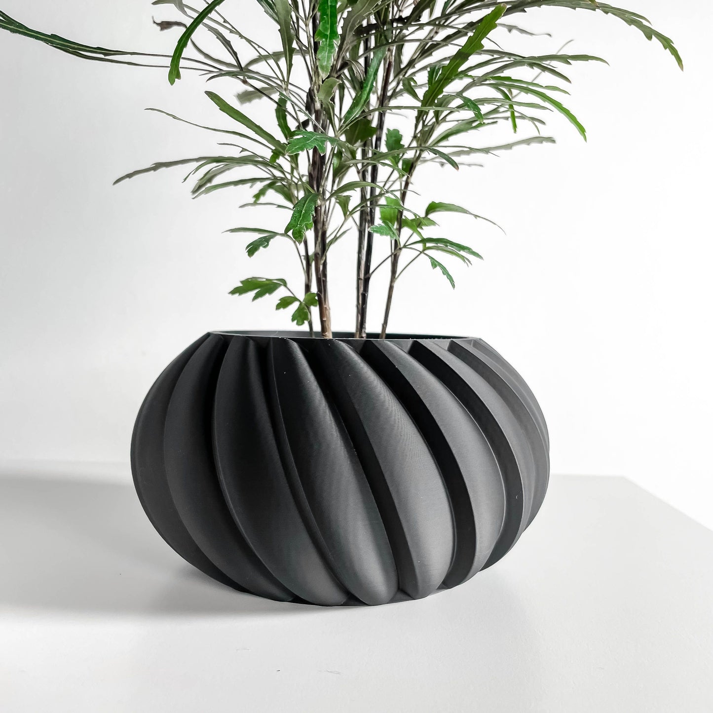 Planter Pot, Contemporary Sculptural Container, Indoor Succulent Holder Black Matte