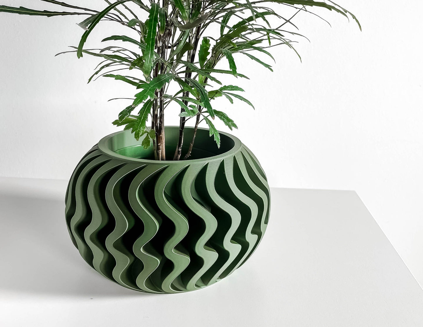 Succulent Planter, Indoor Herb Holder, Modern Minimalist Desk Pot ApartmentFriendly