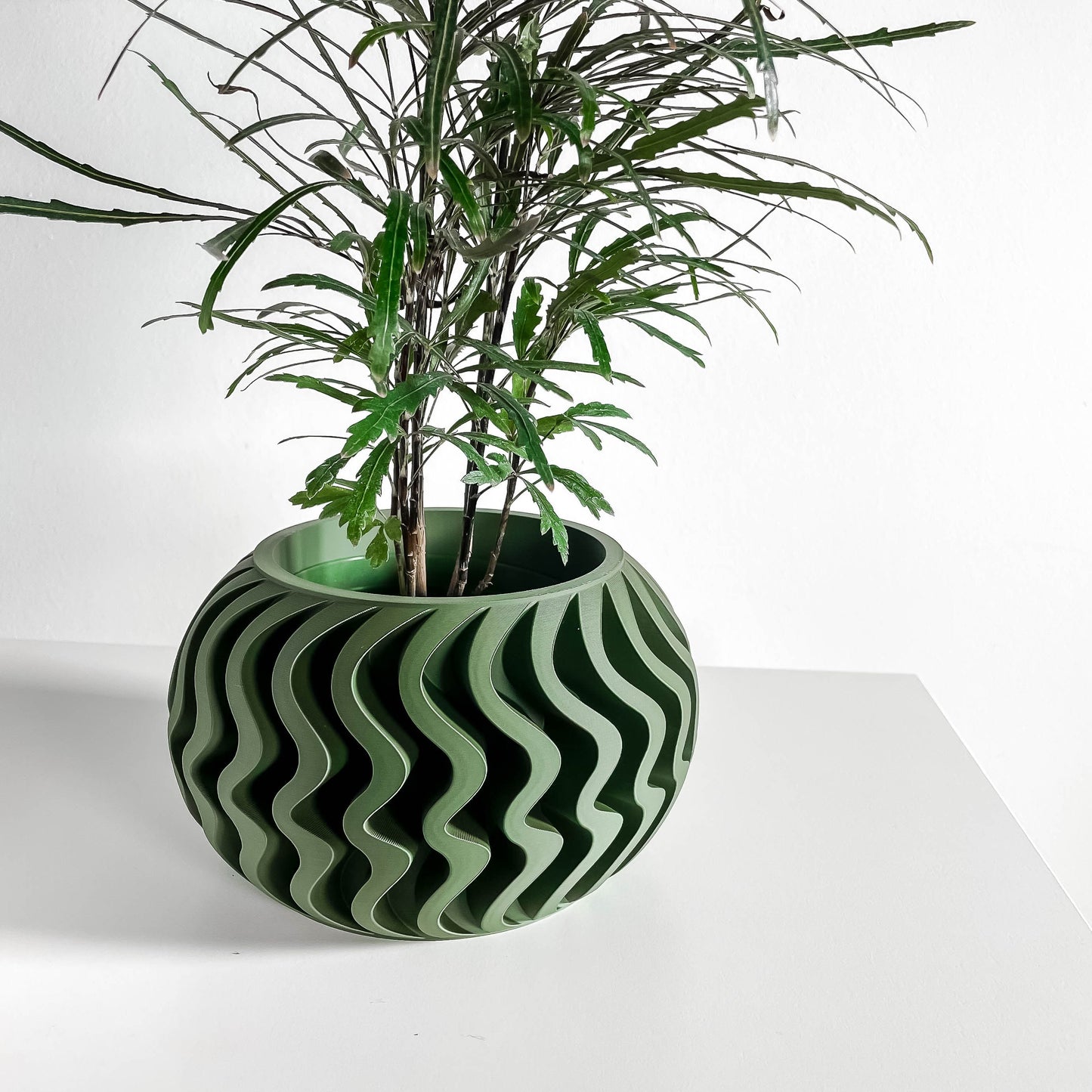 Succulent Planter, Indoor Herb Holder, Modern Minimalist Desk Pot ApartmentFriendly