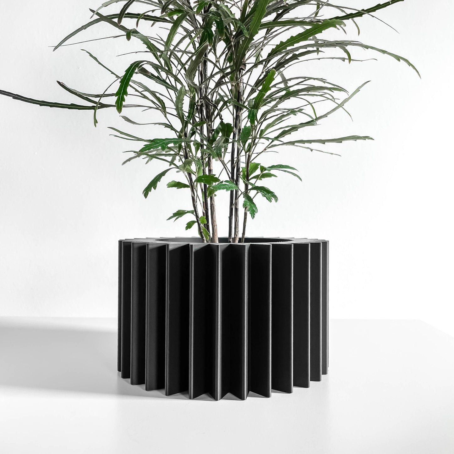 Indoor Planter Pot, Succulent Herb Organizer, Contemporary Deskside Plant Showcase