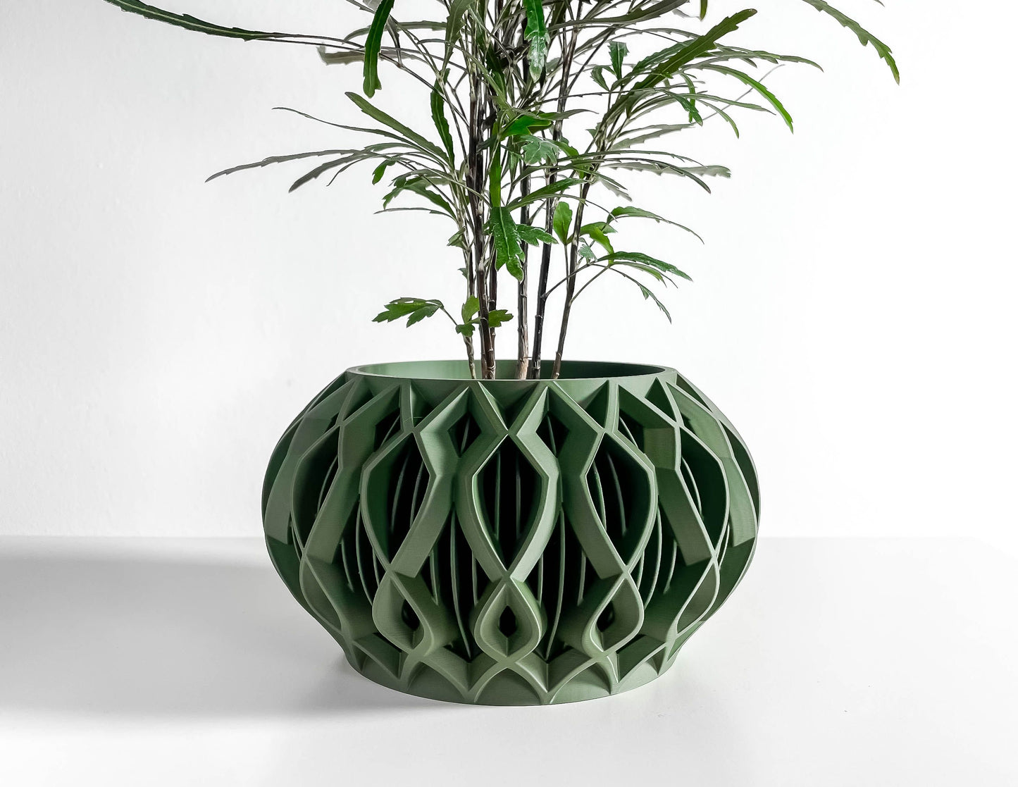Planter Pot, Octagonal Succulent Display, Desktop Herb Holder, Architectural Modern