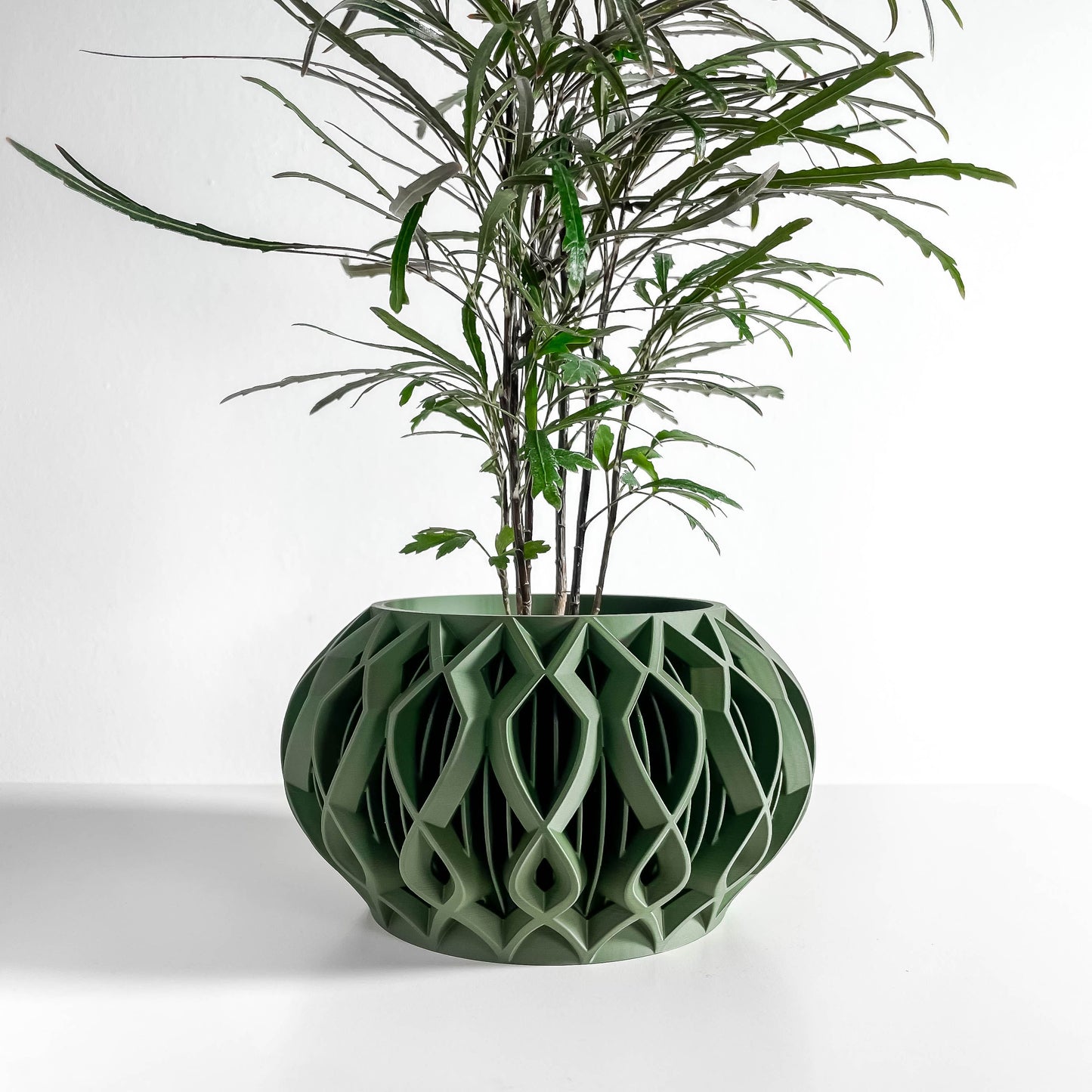 Planter Pot, Octagonal Succulent Display, Desktop Herb Holder, Architectural Modern