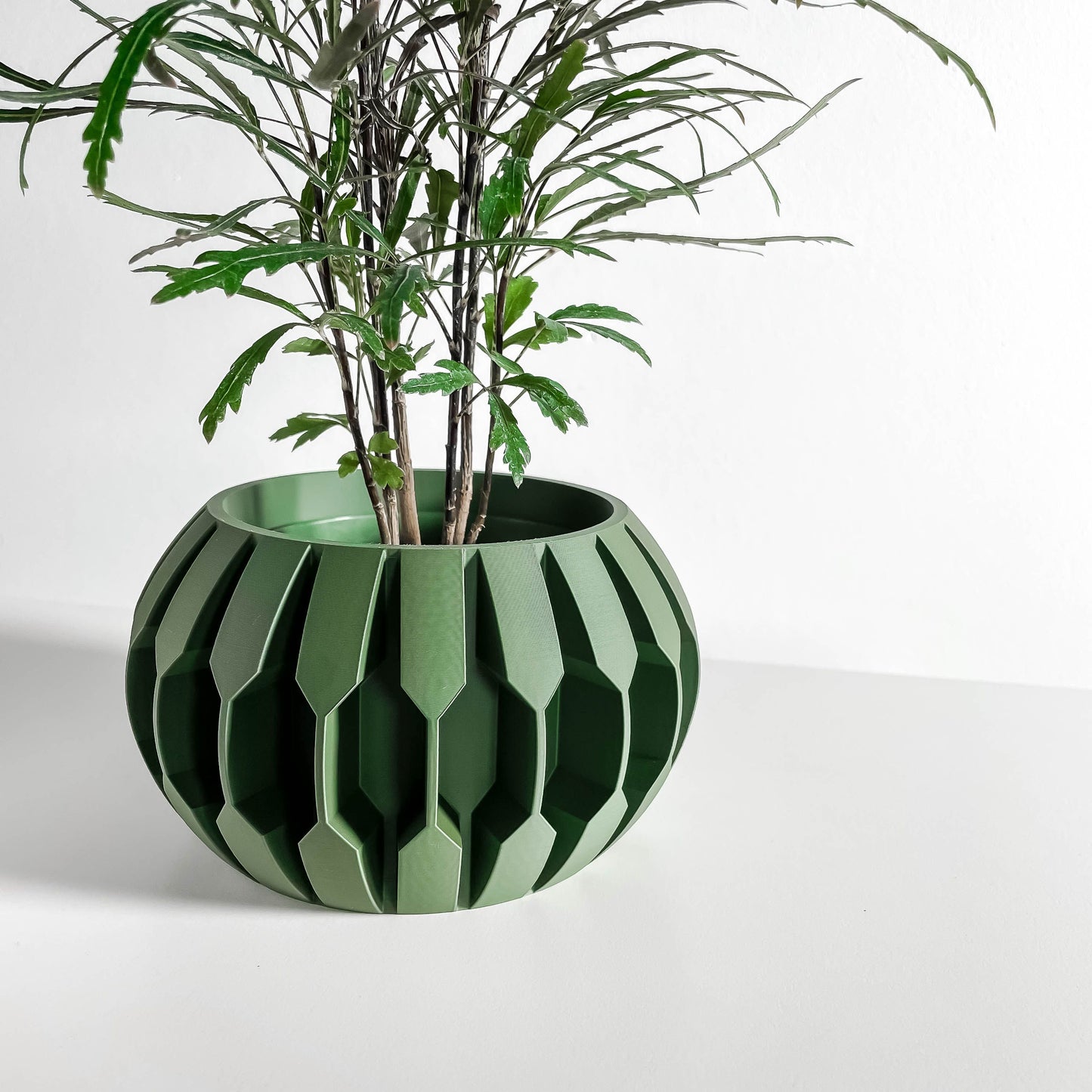 Indoor Planter, Succulent Holder, Desk Organizer, Herb Vessel, Contemporary Minimalist