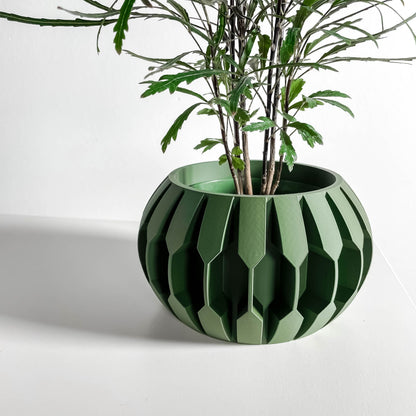 Indoor Planter, Succulent Holder, Desk Organizer, Herb Vessel, Contemporary Minimalist