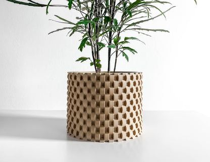 Decorative Planter Pot, Indoor Succulent Holder, Herb Container, Small Flower Desk Organizer, Sculptural Accent