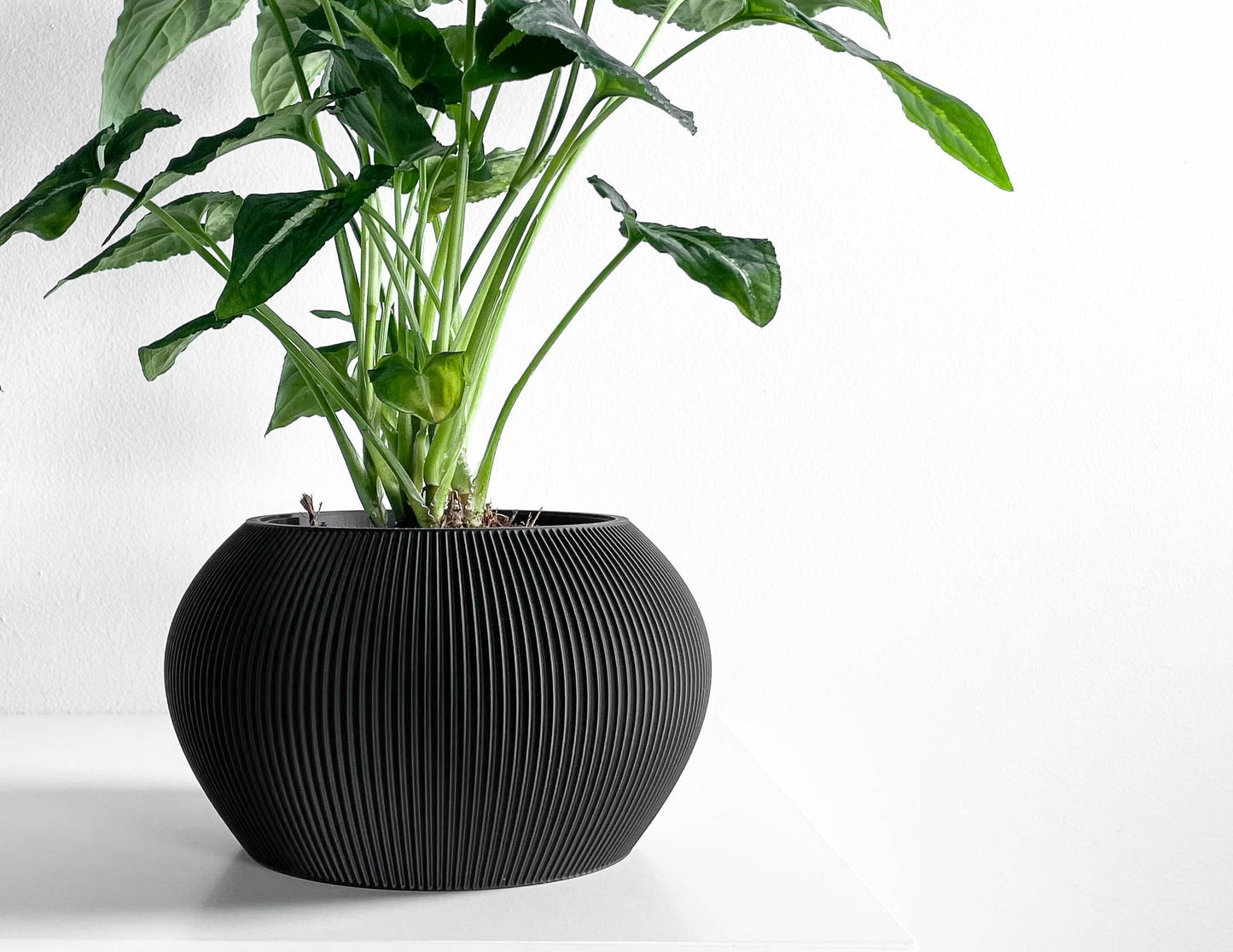 planter pot, sculptural indoor container, greenery holder, elegant desktop organizer